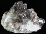 Dark Smoky Quartz Cluster - Large Crystals #60925-1